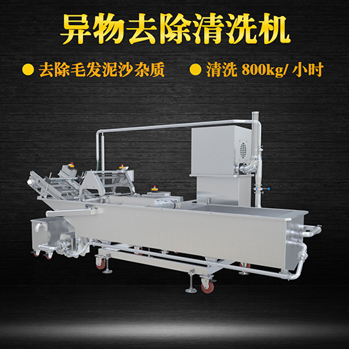 果蔬氣泡翻洗機，有效清洗，過濾泥沙