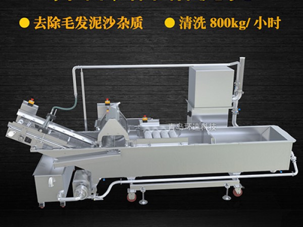 蔬菜清洗機(jī)，氣泡清洗，清洗800kg/小時(shí)