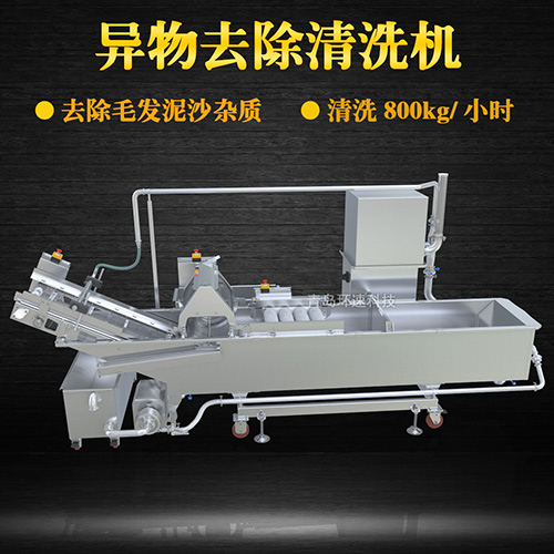 蔬菜清洗機，氣泡清洗，清洗800kg小時